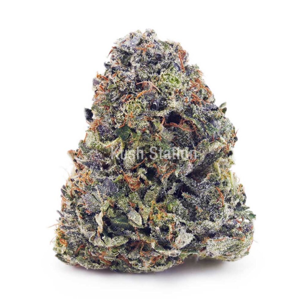 Buy Master Kush Ultra AAAA at Kush Station Online