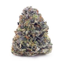 Buy Master Kush Ultra AAAA at Kush Station Online