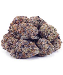 Buy Pink Goo AAAA at Kush Station Online