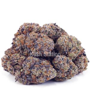 Buy Pink Goo AAAA at Kush Station Online