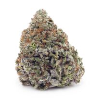 Buy Jack Frost AAA at Kush Station Online