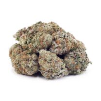 Buy Jack Frost AAA at Kush Station Online