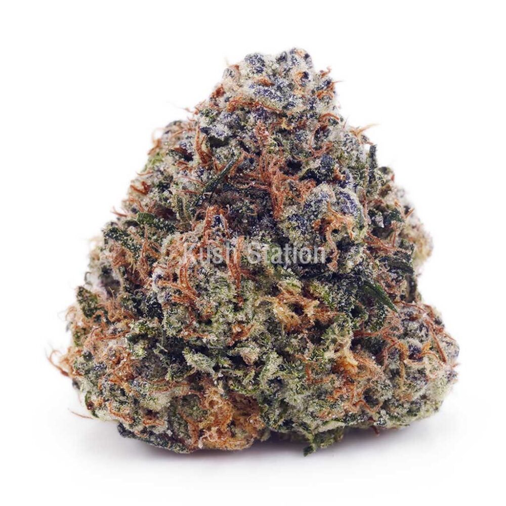 Buy Jack Herer AA at Supreme Dispensary