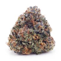 Buy Jack Herer AA at Supreme Dispensary