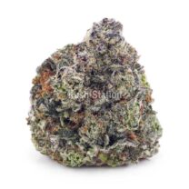 Buy Funky Charmz AAAA at Kush Station Online
