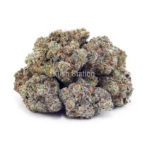 Buy Funky Charmz AAAA at Kush Station Online