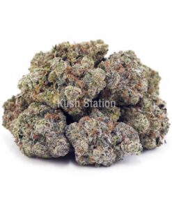 Buy Funky Charmz AAAA at Kush Station Online