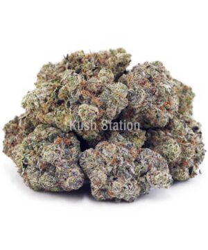Buy Funky Charmz AAAA at Kush Station Online
