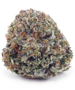Buy Ice Cream Cookies AAA at Kush Station Online