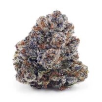 Buy Pink Gas Mask (Craft) - BC Craft at Kush Station Online Shop