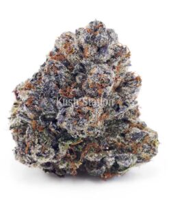 Buy Pink Gas Mask (Craft) - BC Craft at Kush Station Online Shop