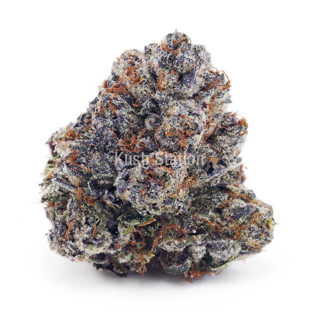 Buy Pink Gas Mask (Craft) - BC Craft at Kush Station Online Shop