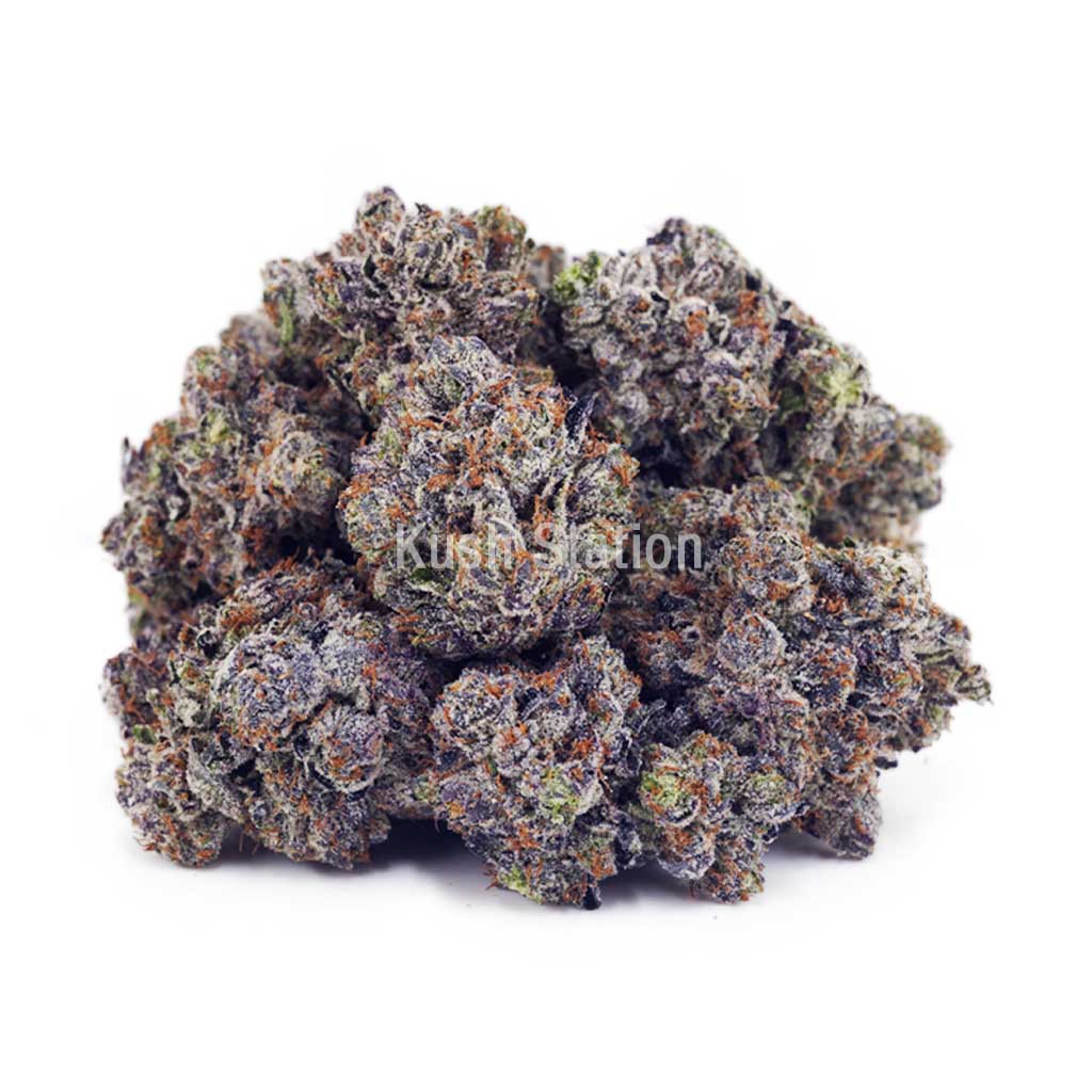 Buy Pink Gas Mask (Craft) - BC Craft at Kush Station Online Shop