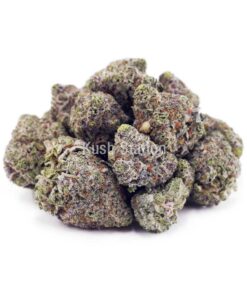 Buy Orange Juice OG (Craft) - Only Gas at Kush Station Online Shop