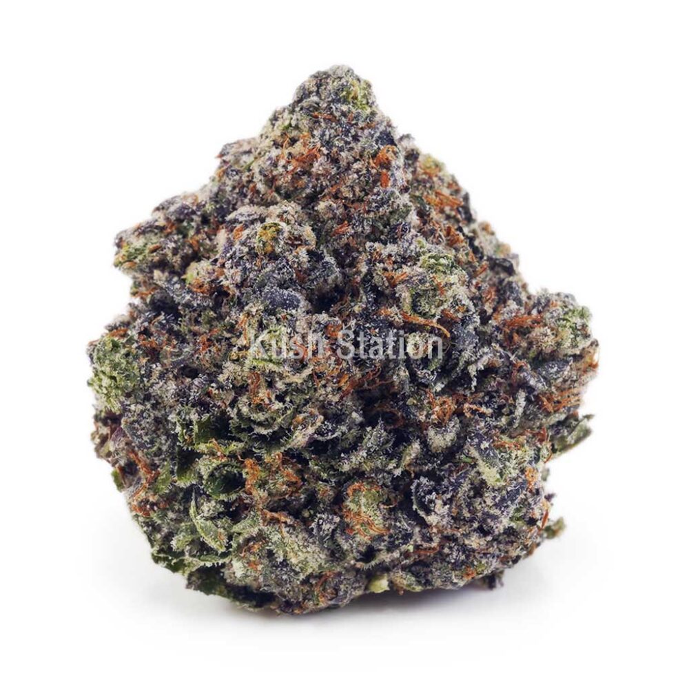 Buy Couch Lock (Craft Cannabis) at Kush Station Online