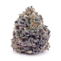 Buy Quantum Kush AAA - Only Gas at Kush Station Online