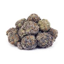 Buy Quantum Kush AAA - Only Gas at Kush Station Online