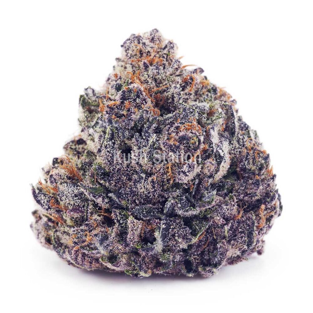 Buy White Cherry Truffle AAAA - Quads Only at Kush Station Online