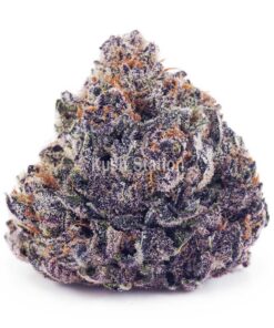 Buy White Cherry Truffle AAAA - Quads Only at Kush Station Online