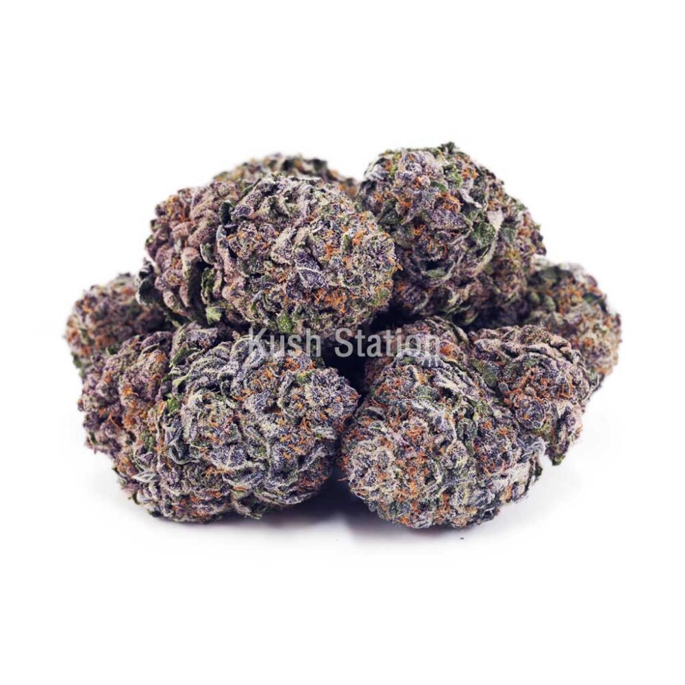 Buy White Cherry Truffle AAAA - Quads Only at Kush Station Online