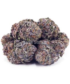 Buy White Cherry Truffle AAAA - Quads Only at Kush Station Online