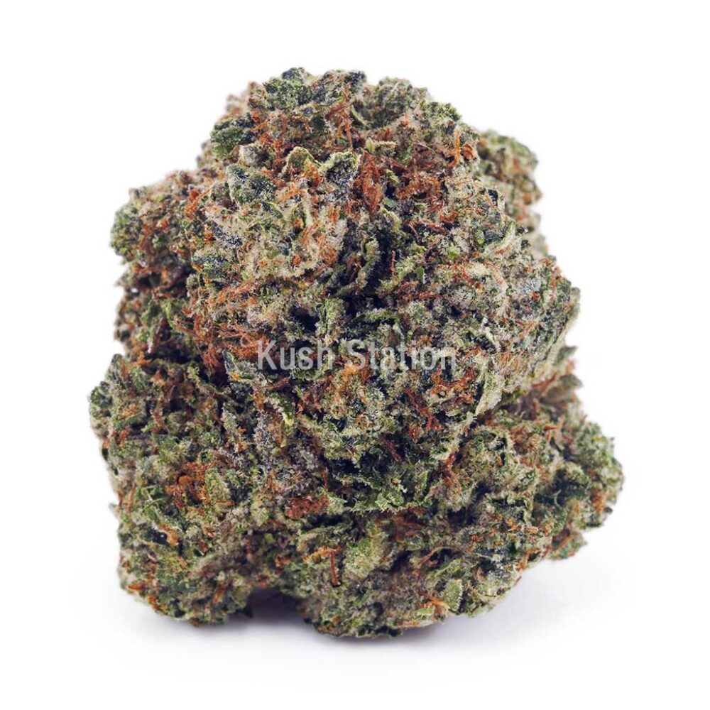 Buy Amnesia Haze AAA at Kush Station Online Shop