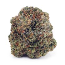 Buy Amnesia Haze AAA at Kush Station Online Shop