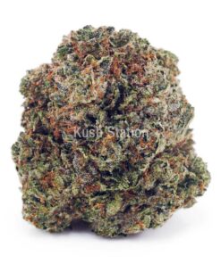 Buy Amnesia Haze AAA at Kush Station Online Shop