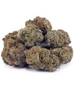 Buy Amnesia Haze AAA at Kush Station Online Shop
