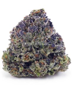Buy LA Kush Cake AAAA - Only Gas at Kush Station Online Shop