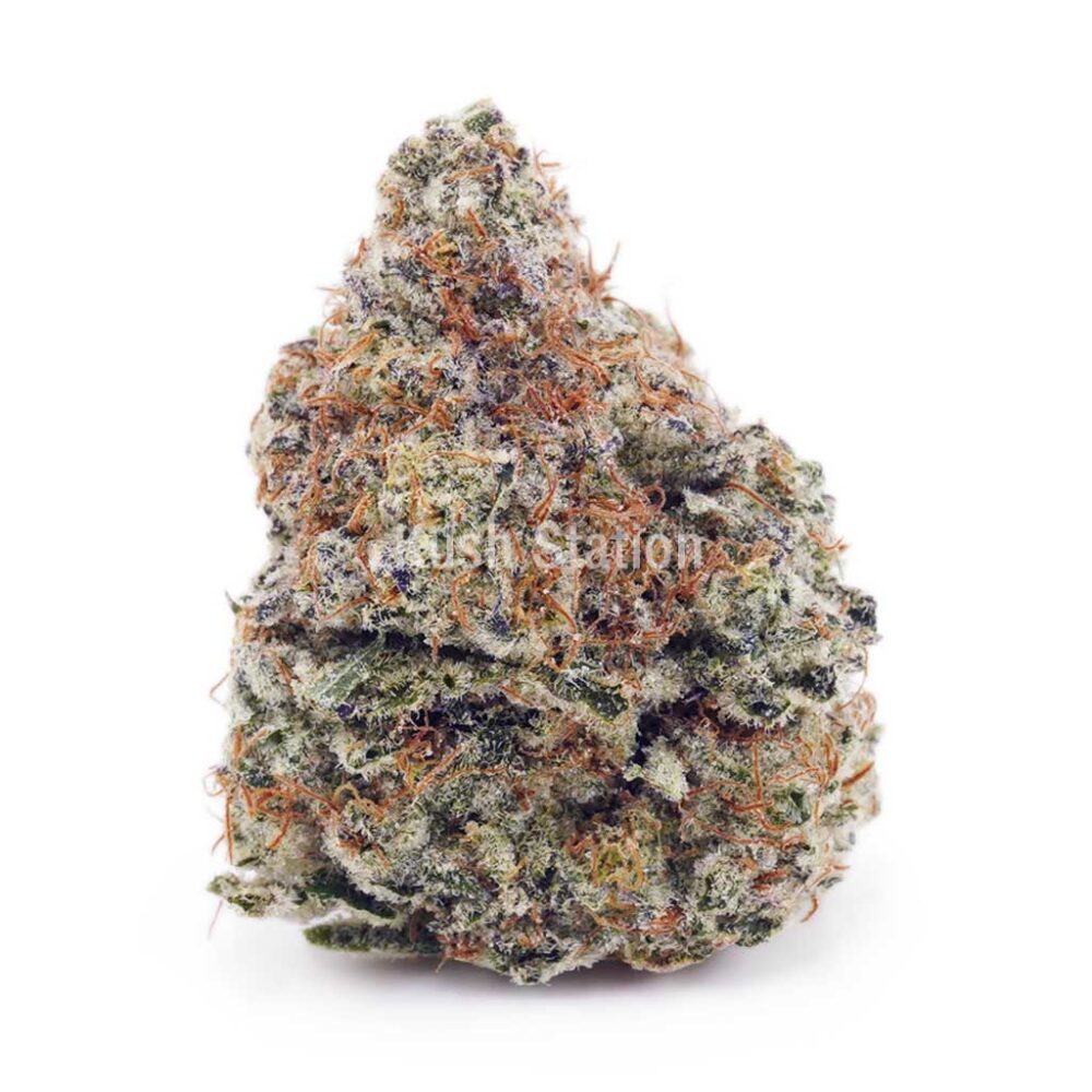 Buy Space Cookies AAA at Kush Station Online Shop