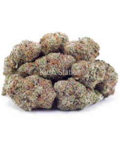 Buy Space Cookies AAA at Kush Station Online Shop