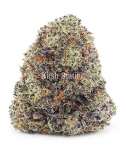 Buy Laughing Buddha (Craft) - BC Craft at Kush Station Online Shop
