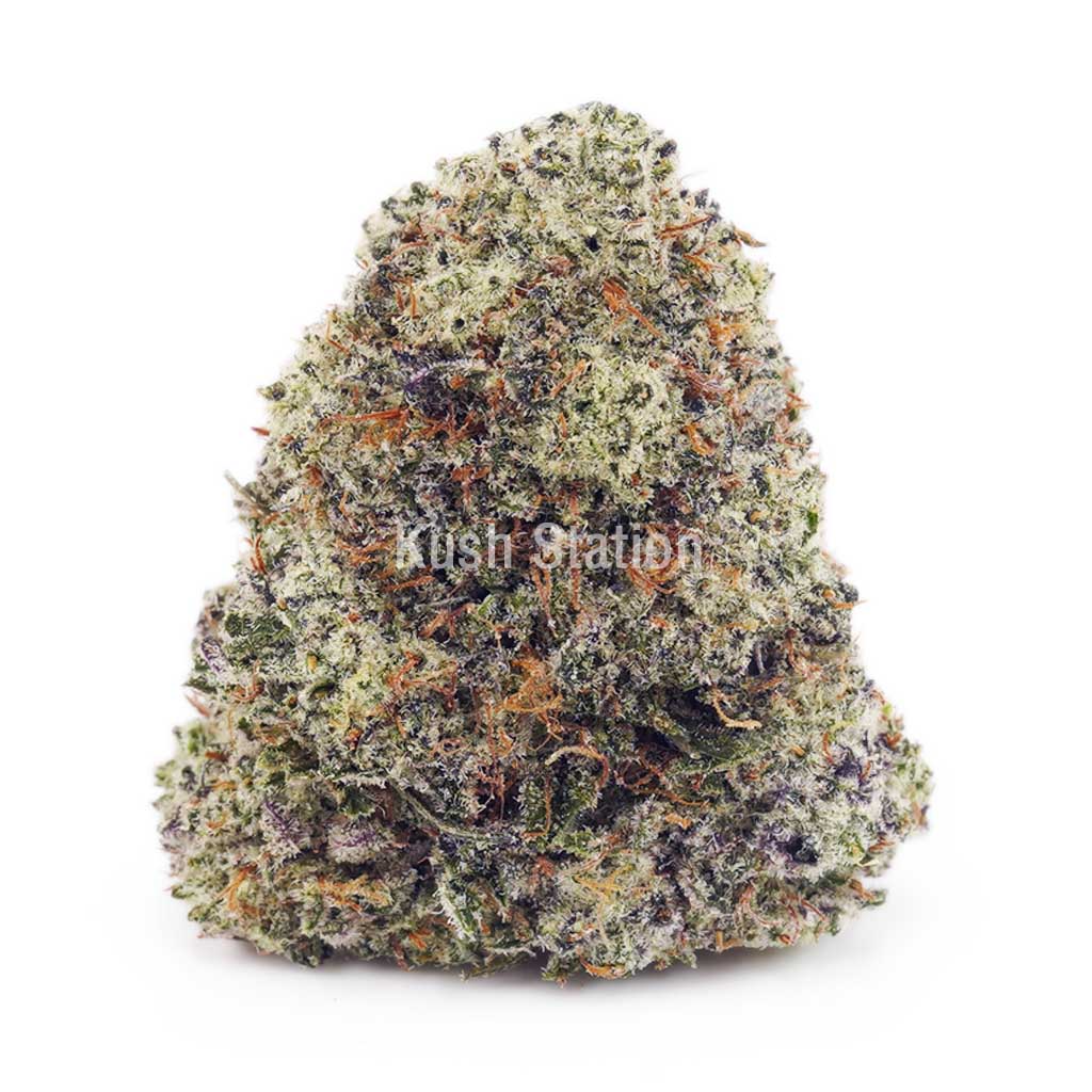 Buy Laughing Buddha (Craft) - BC Craft at Kush Station Online Shop