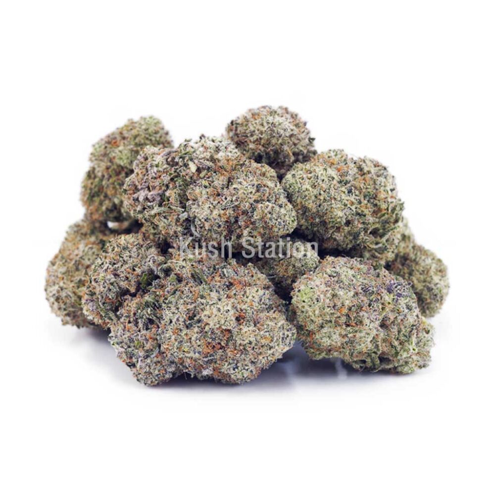 Buy Laughing Buddha (Craft) - BC Craft at Kush Station Online Shop