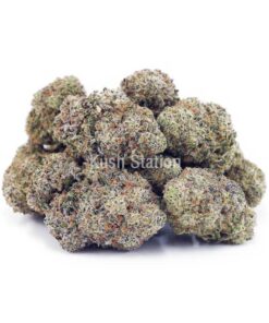 Buy Laughing Buddha (Craft) - BC Craft at Kush Station Online Shop