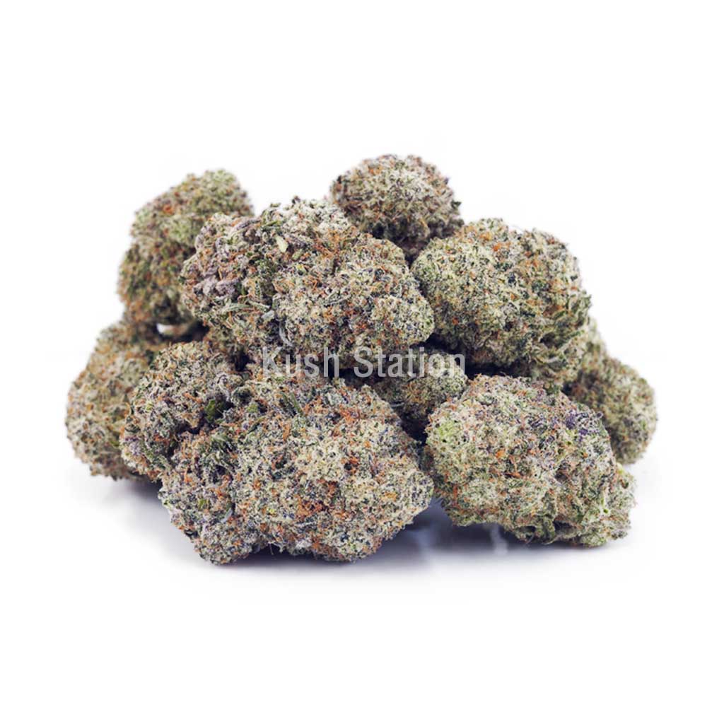 Buy Laughing Buddha (Craft) - BC Craft at Kush Station Online Shop