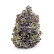 Buy Couch Lock (Craft Cannabis) at Kush Station Online