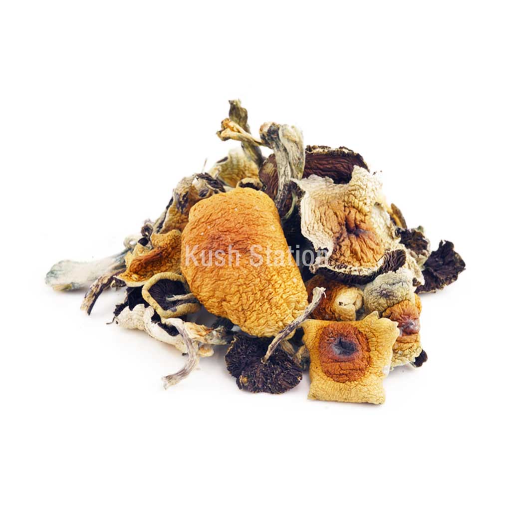 Buy Mushroom - Treasure Coast at Kush Station Online Shop