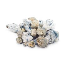 Buy Mushroom - Blue Ghost (Exotic) at Kush Station Online Shop