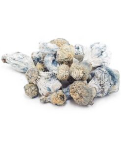 Buy Mushroom - Blue Ghost (Exotic) at Kush Station Online Shop