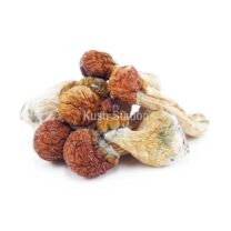 Buy Mushroom - Makilla Gorilla at Kush Station Online Shop