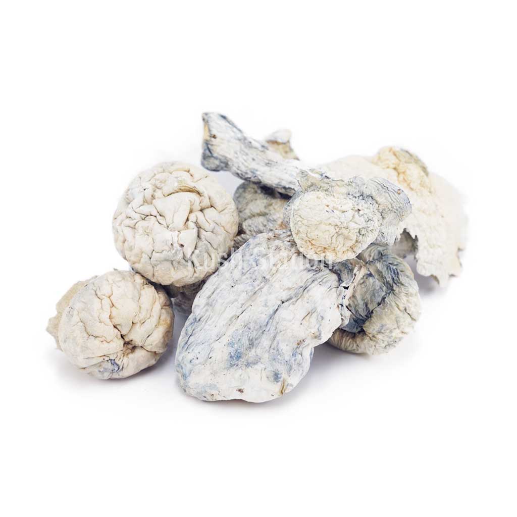 Buy Mushroom - Makilla Gorilla at Kush Station Online Shop