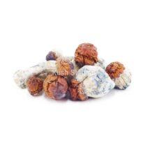 Buy Mushroom - Texas Yellow Cap at Kush Station Online Shop