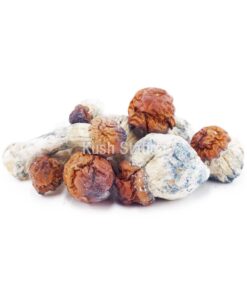 Buy Mushroom - Texas Yellow Cap at Kush Station Online Shop