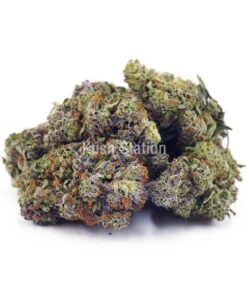 Buy Gas Mask AAAA - Quadzilla Farms at Kush Station Online Store