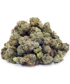 Buy Crazy Glue AAAA - (Popcorn Buds) at Kush Station Online Shop
