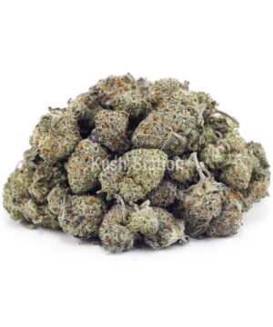 Buy Cake Crasher AAAA - (Popcorn Buds) at Kush Station Online Store