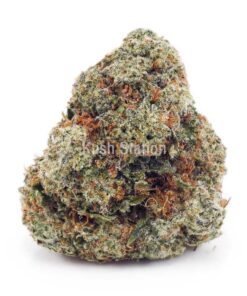 Buy Platinum Kush AAA - LSO Farms at Kush Station Online Store