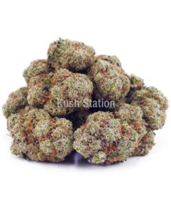Buy Platinum Kush AAA - LSO Farms at Kush Station Online Store